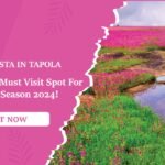 Floral fiesta in Tapola: Kaas Pathar, a must-visit spot for this rainy season 2024!